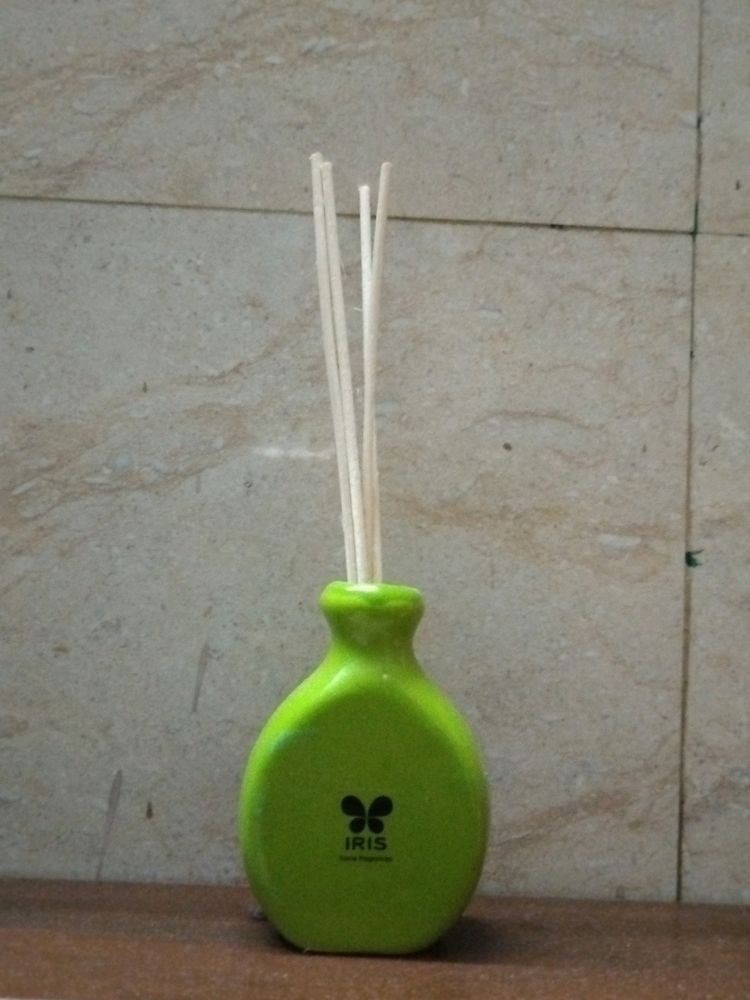 Home Fragrance Pot With Stick