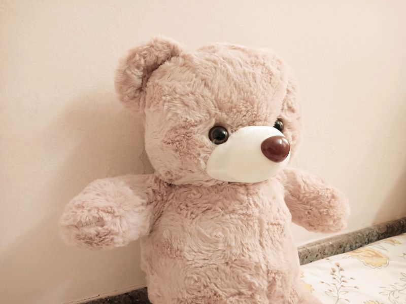 NEW - Big Teddy Bear Soft Toy Gift For Kids