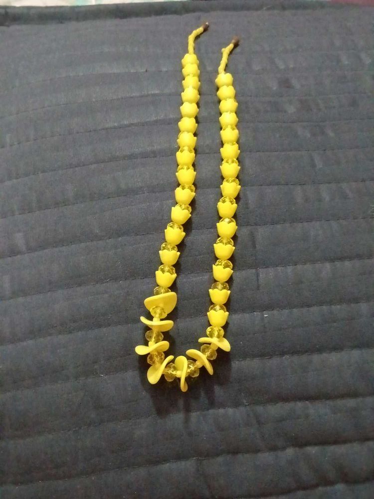 Necklace  Dizner Clip