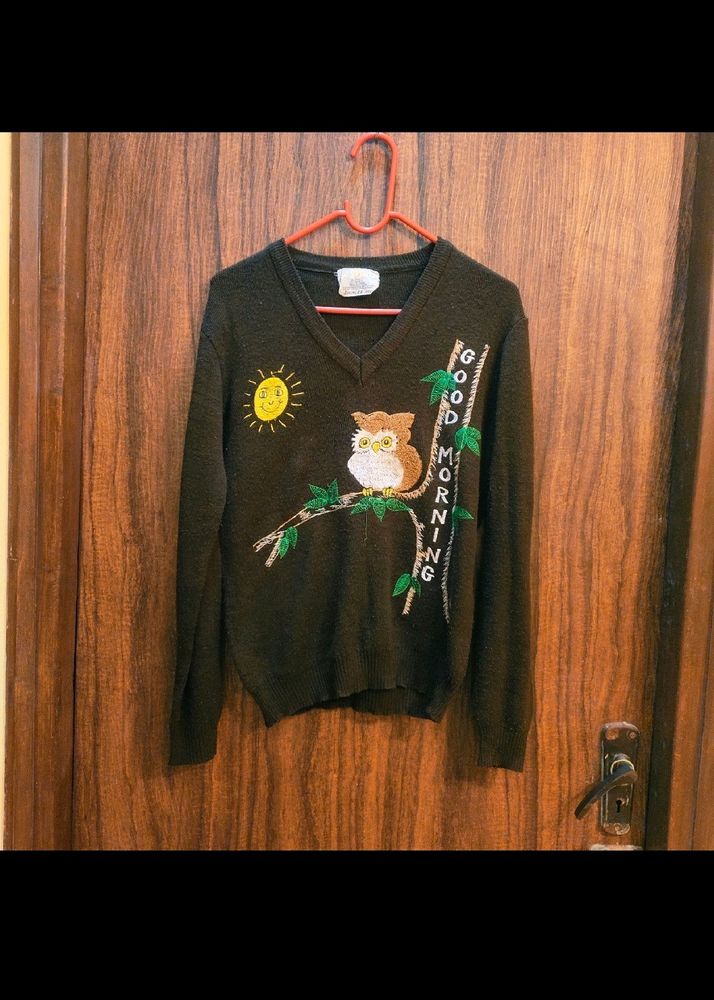 Owl 🦉theam Sweater