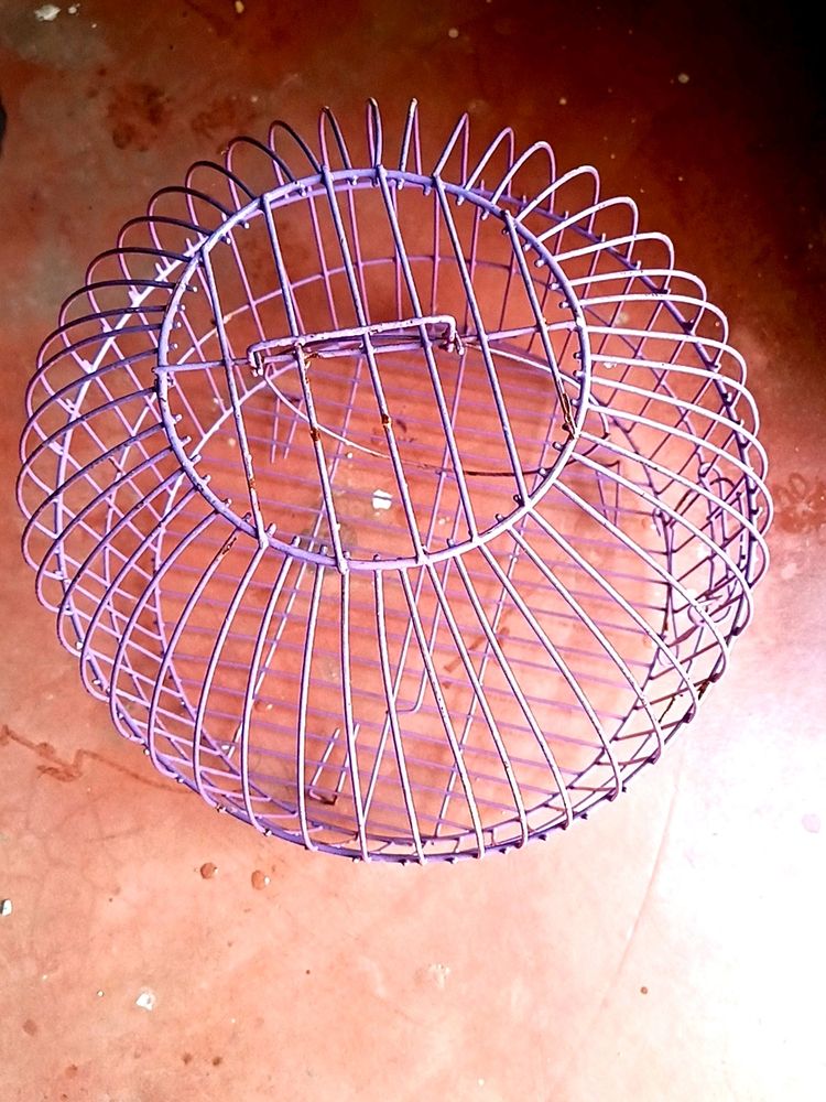 Birds Cage