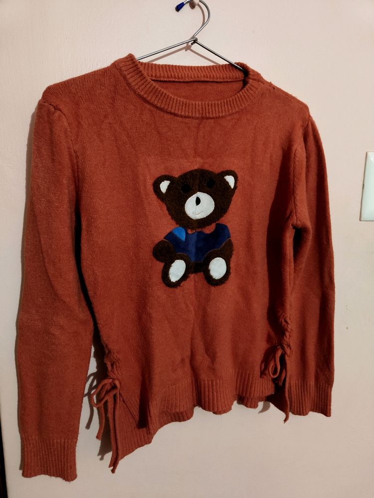 Coral Cozy Teddy Sweatshirt