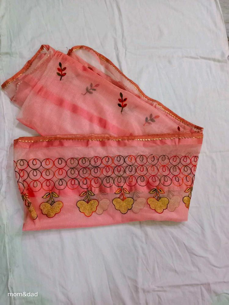 Organza Saree