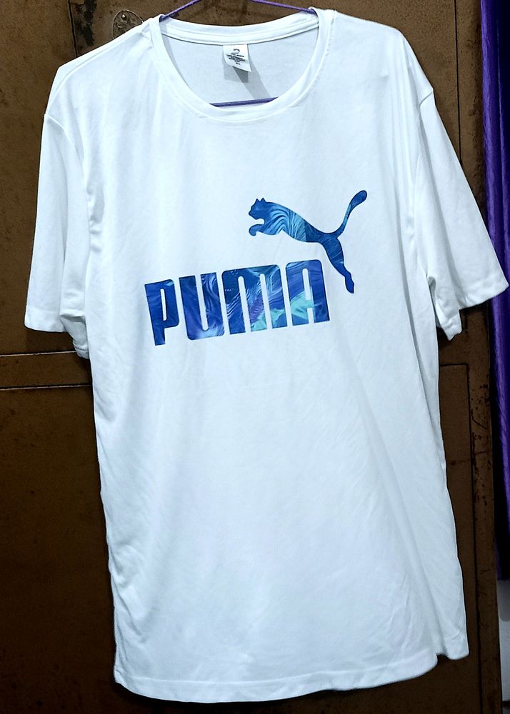 Xl Puma 🦁