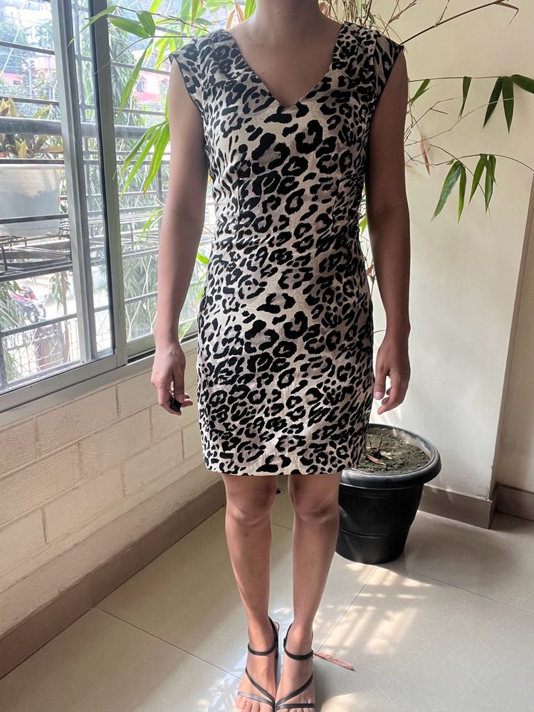 Leopard Dress