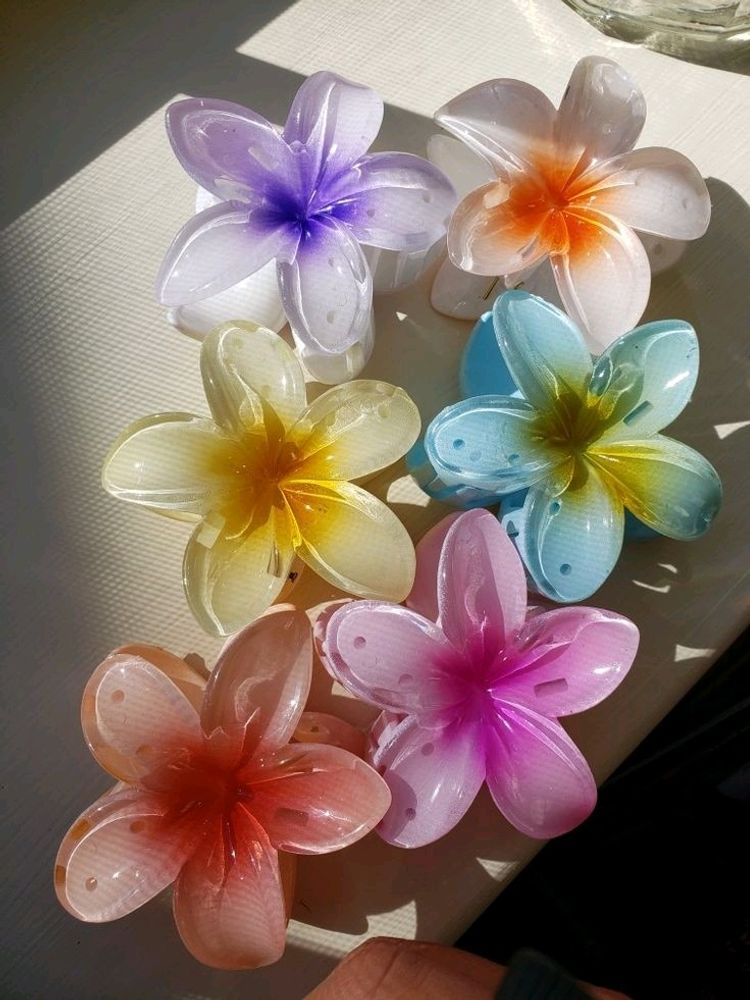 🌸 Hawaiian Hair Claws