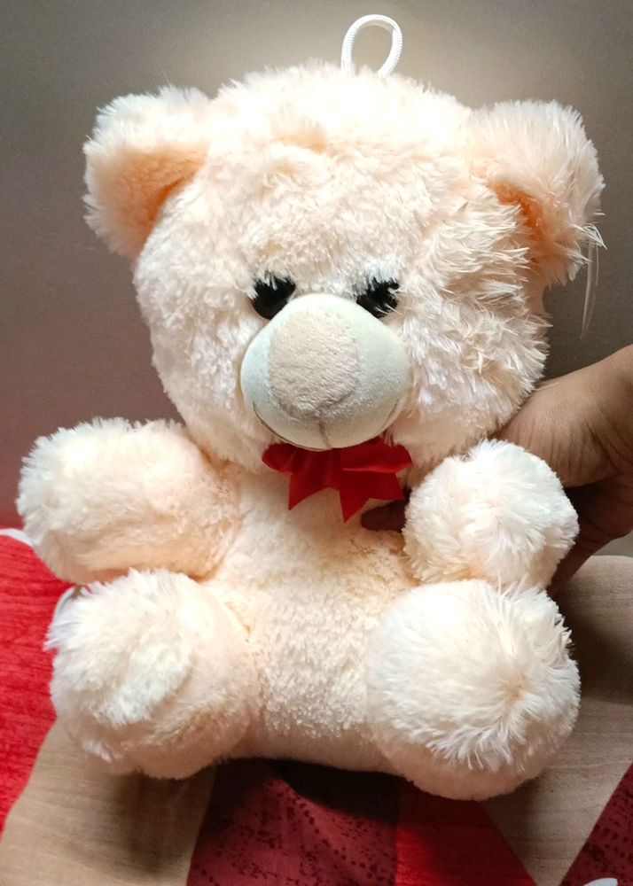 🧸Teddy Bear🧸..