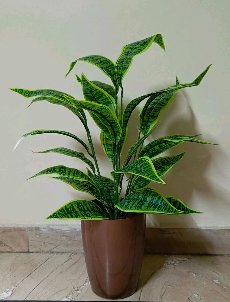 Artificial Plant With Pot (Free Delivery❗❗)