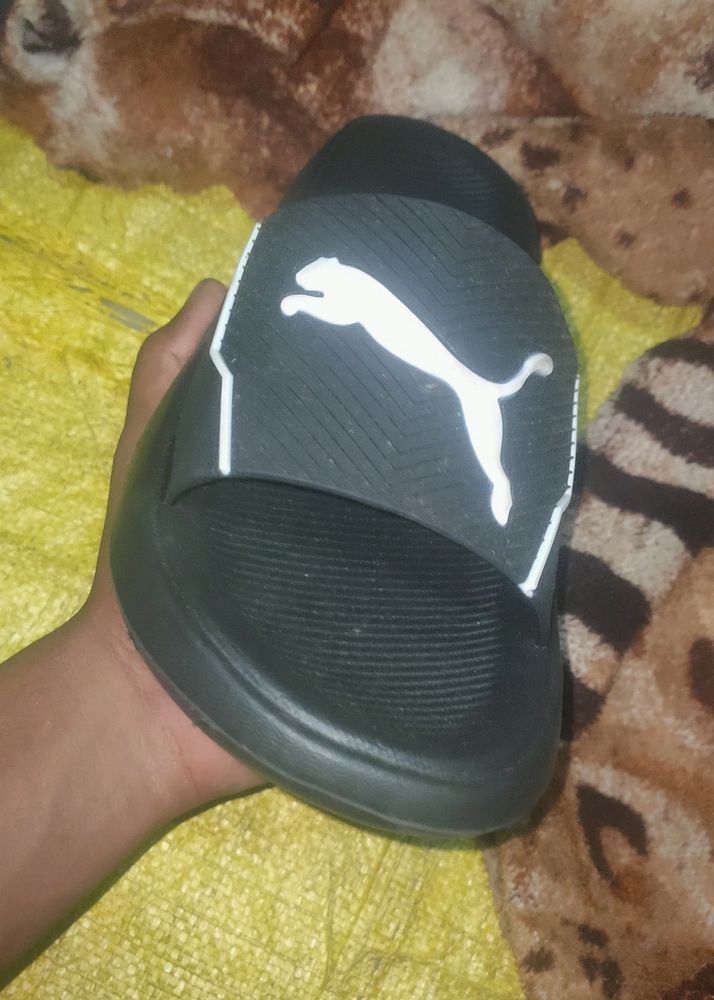 Man Slippers ( PUMA )