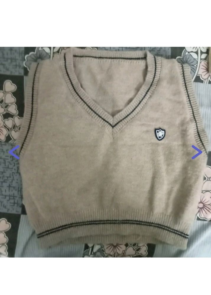 Pinterest Sweater Vest