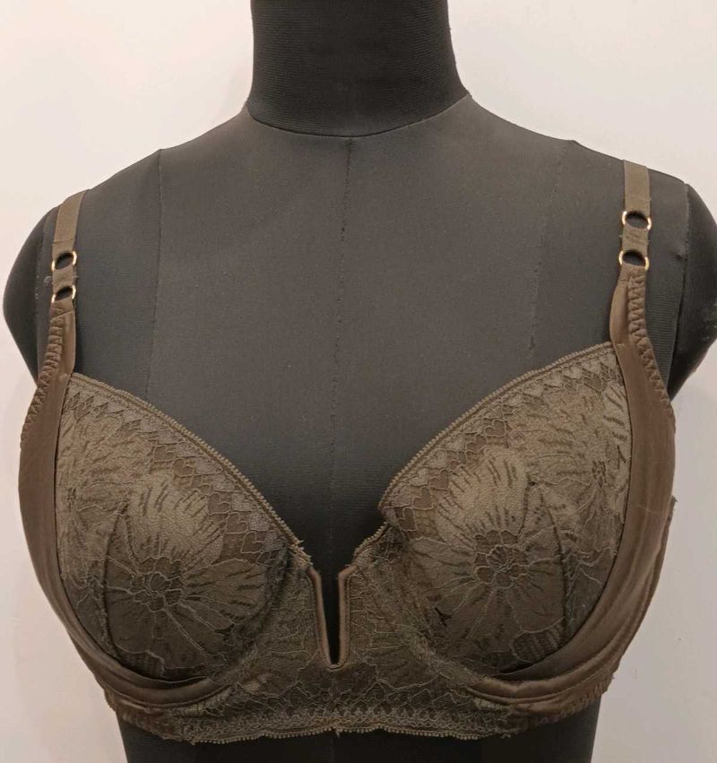 Padded Big Brand Bra 38B