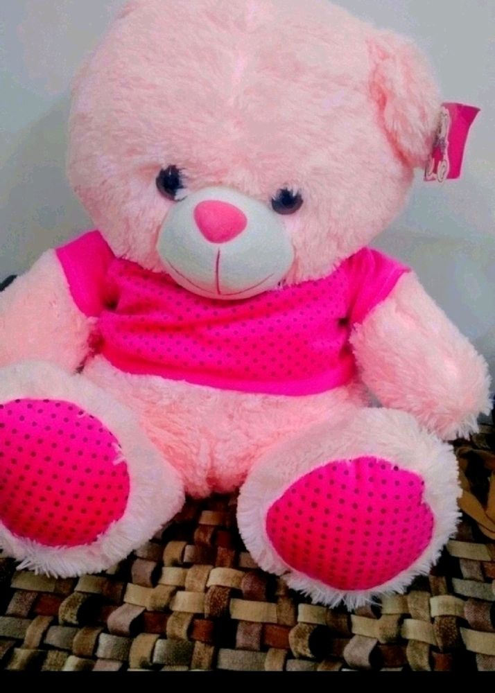 New Teddy Bear