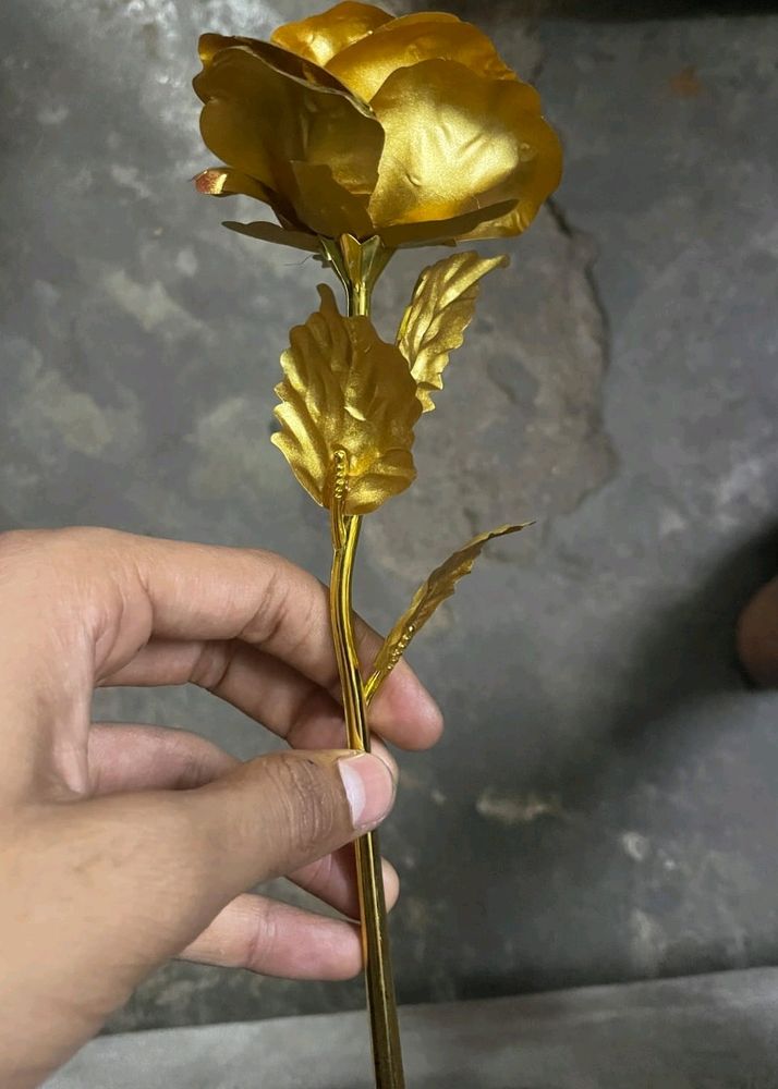 Gold Palted Rose