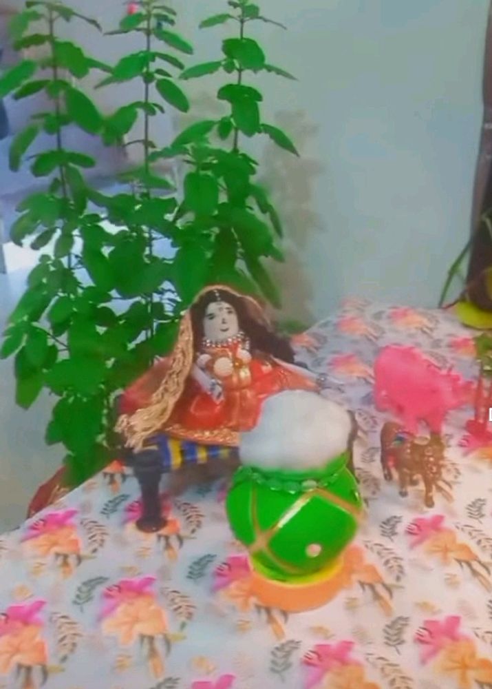 Matki Decoration Jhanki For Janmashtami