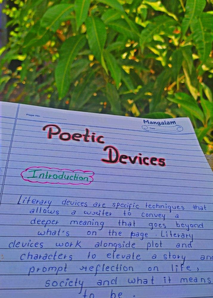 Project On Poetic Device