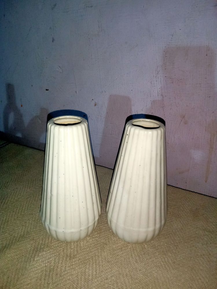 Set Of 2 Pieces Flower Vase