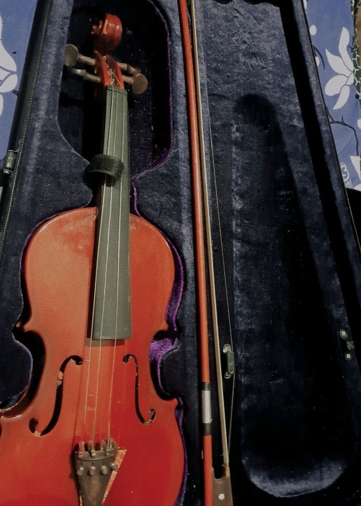 Violin