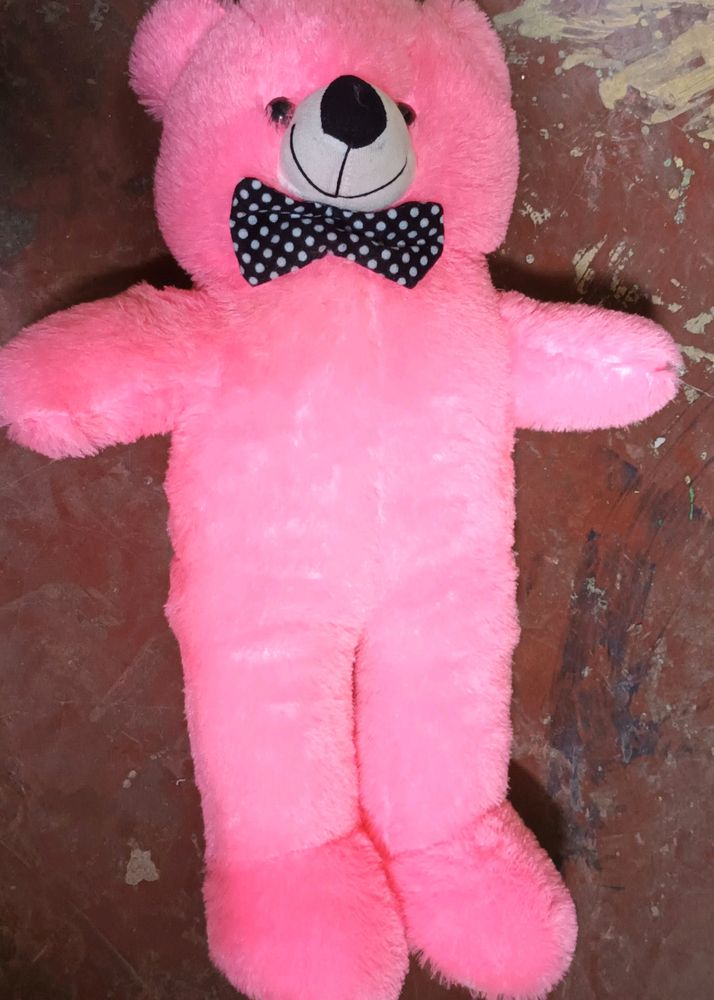 Premium Teddy Cheap Price