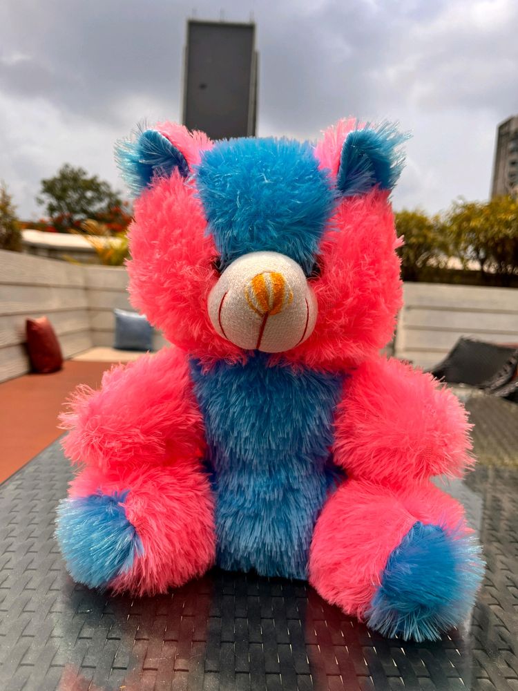 Pink And Blue Furry Teddy Bear