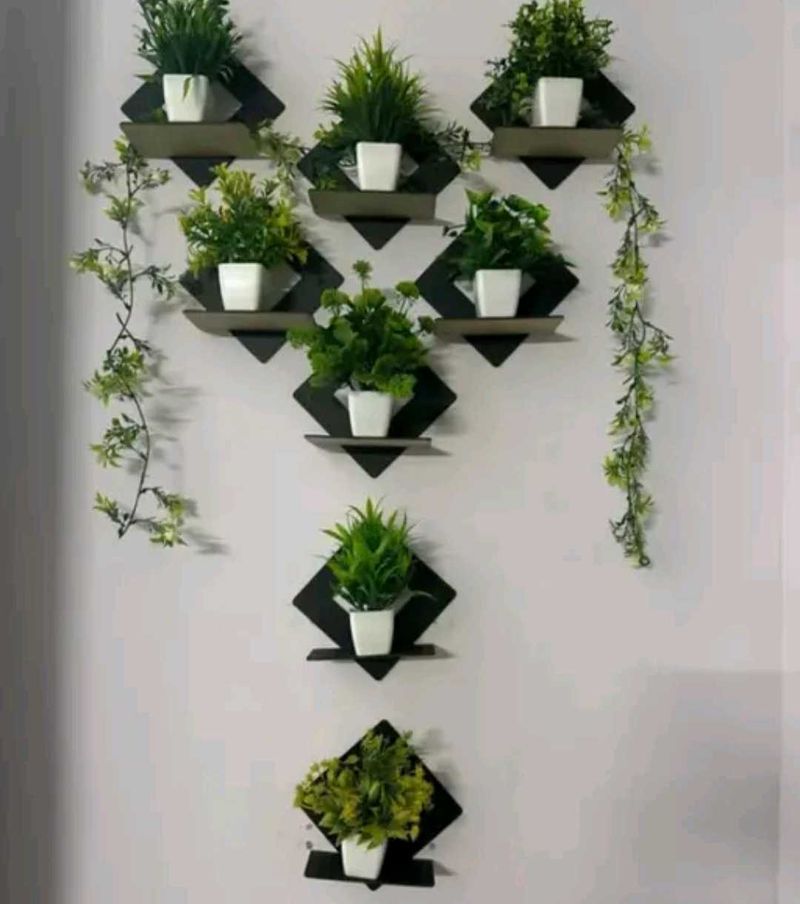 ⭐***Wall Showpiece Stand***⭐