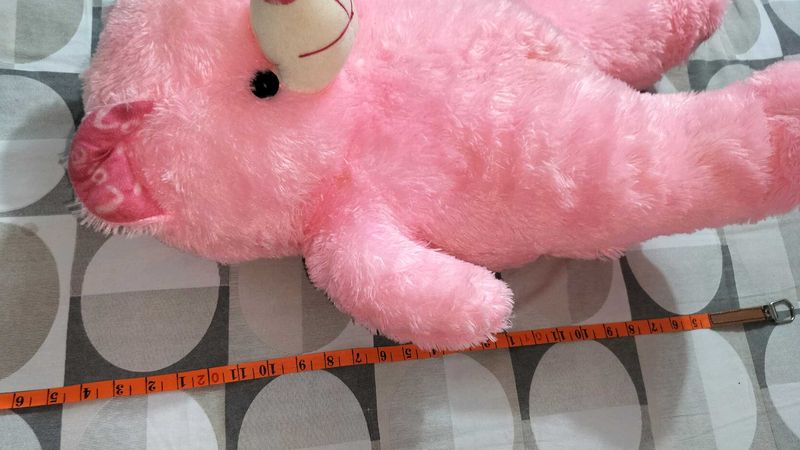 Pink Teddy Bear