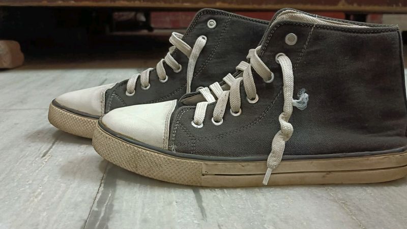 Canvas Shoes