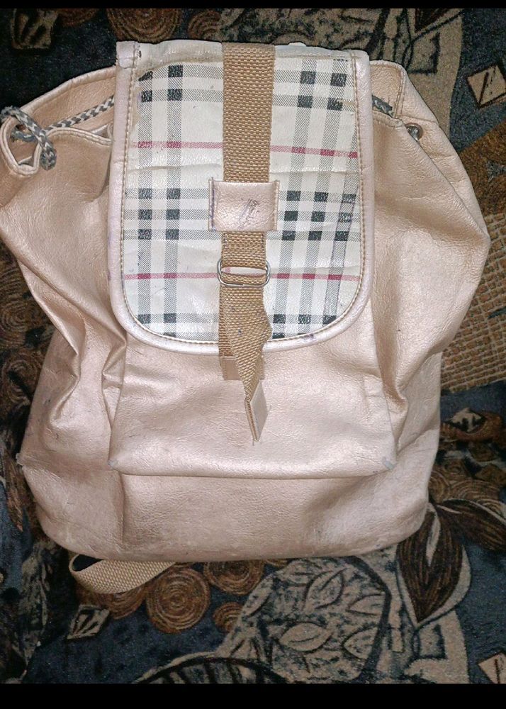 Beautiful And Spacious Bag