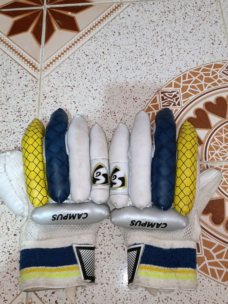 SG Campus Hand Gloves 🧤 For Batting