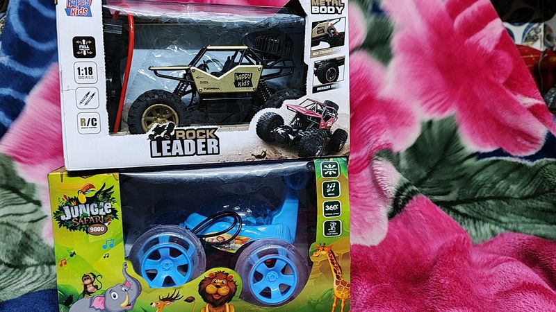 Combo Car RC Stand And Rock Crawler