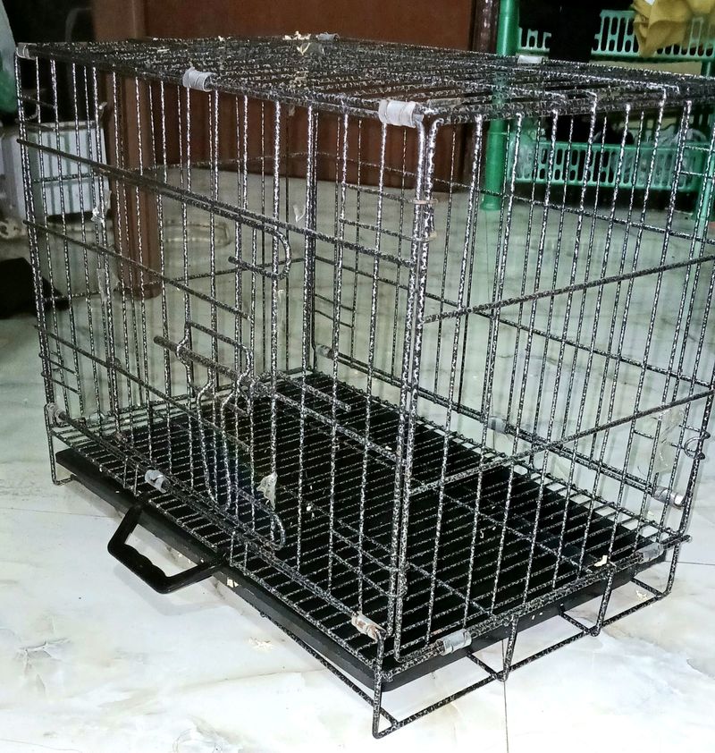 Folding Metal Cage/ Kennel With Tray