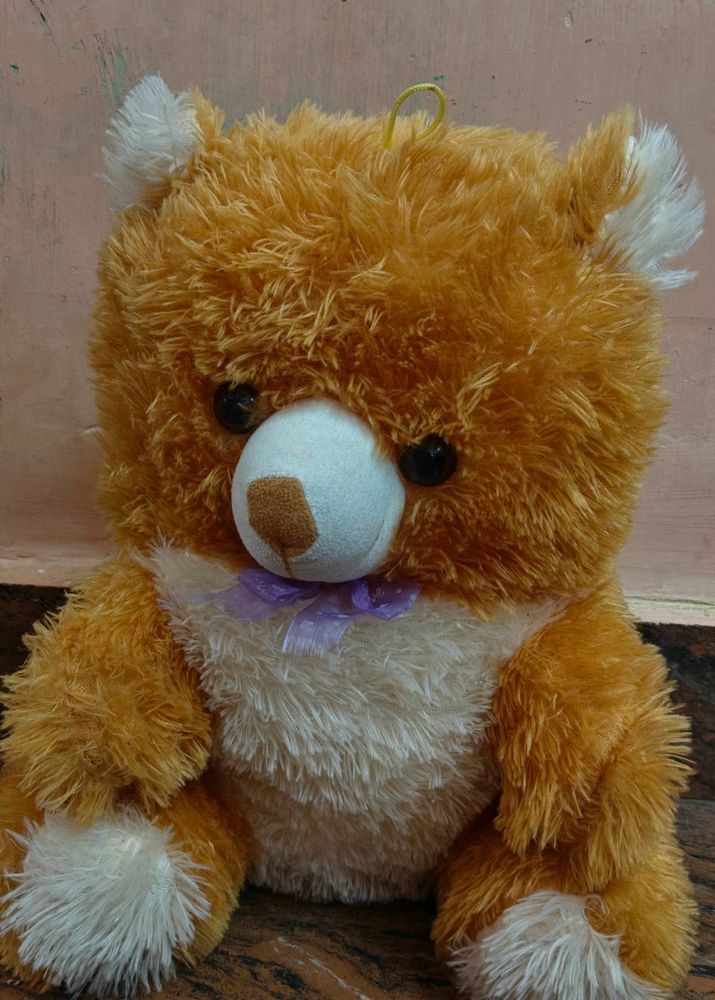 Teddy Bear Soft Toy