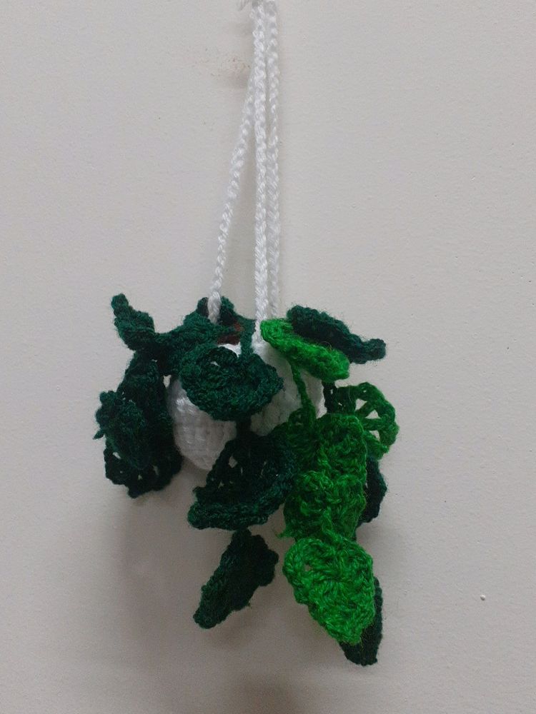 Wall Hanging Plant Crochet Cute