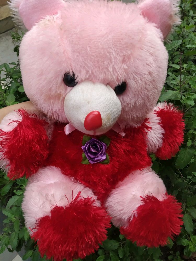 Toy Teddy