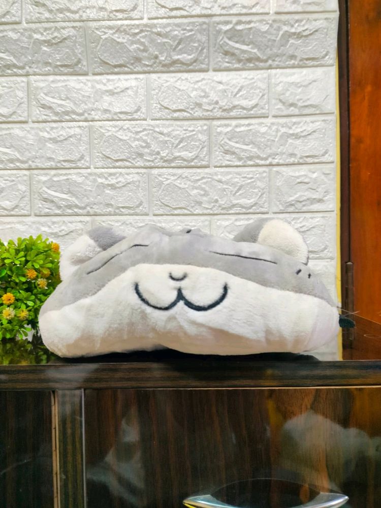 Cat Pillow And Plush