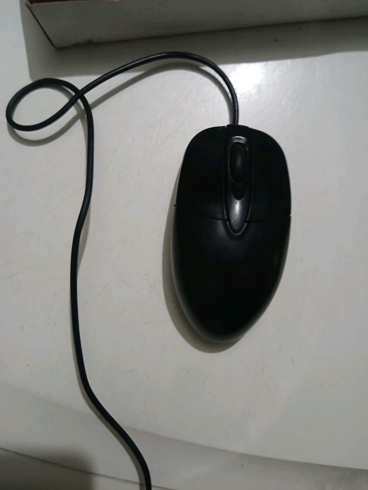 Mouse For Sale