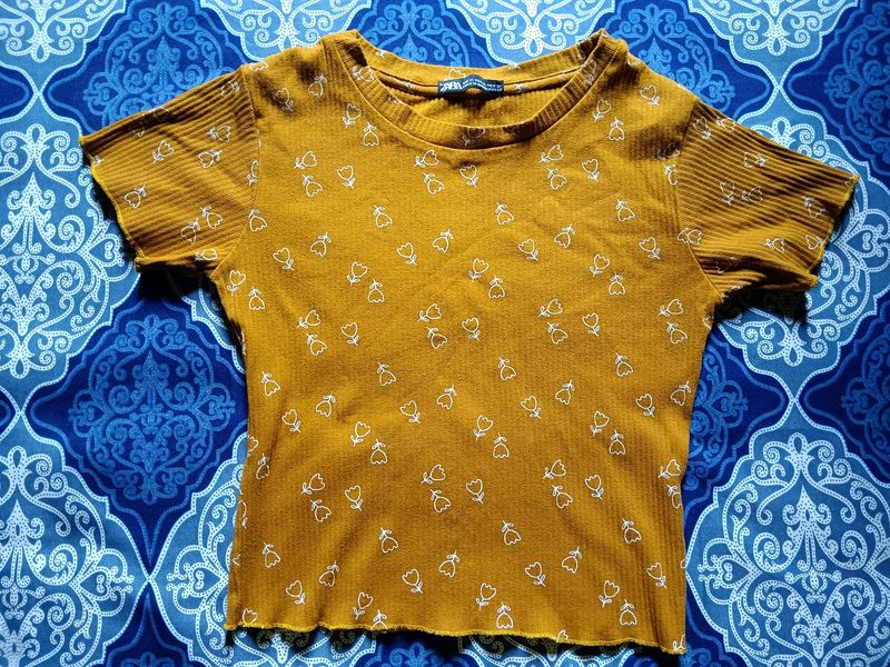 Zara Mustard Yellow Crop Top