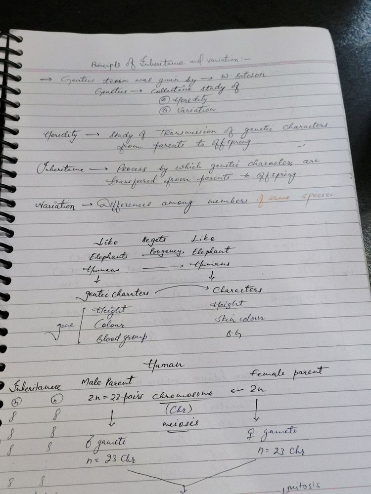 Genetics Biology Notes Allen