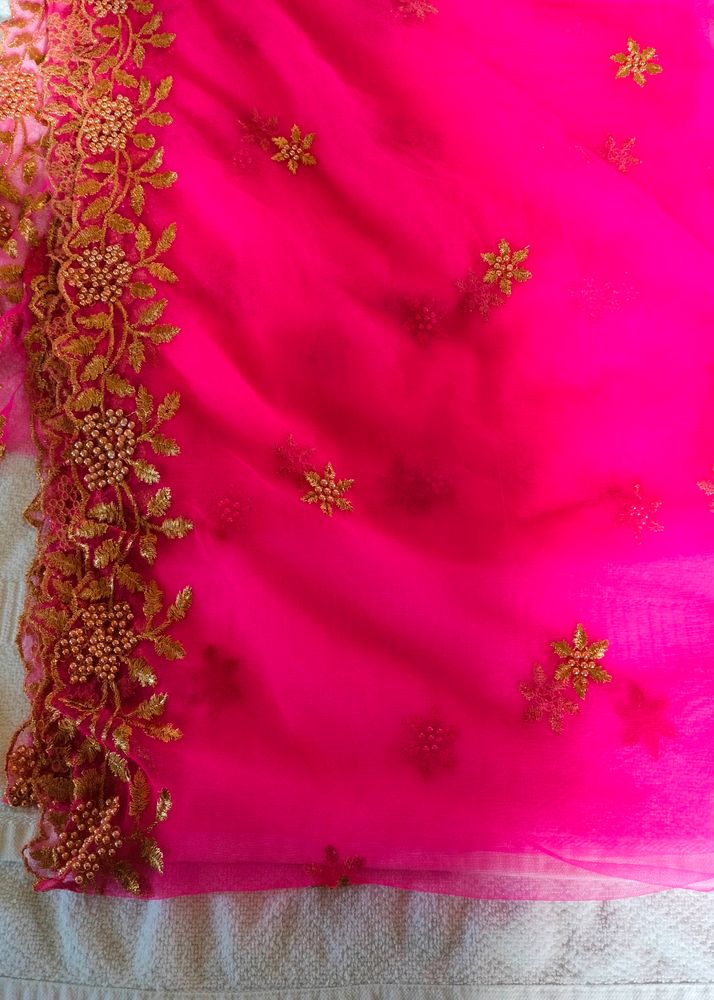 Netted Dupatta