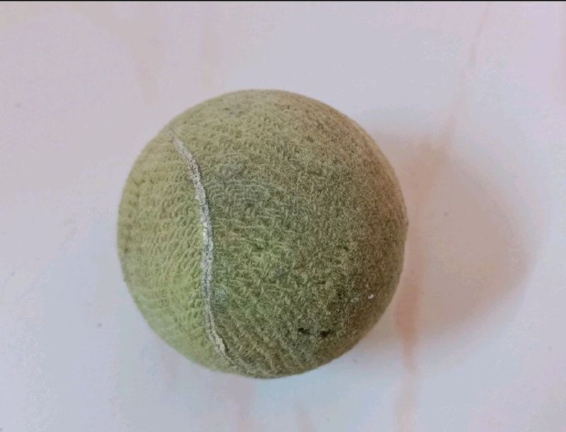 Cricket Ball(Used)