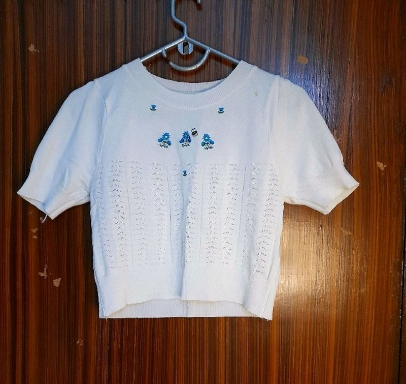 White Crop Top Korean Blue Embroidery