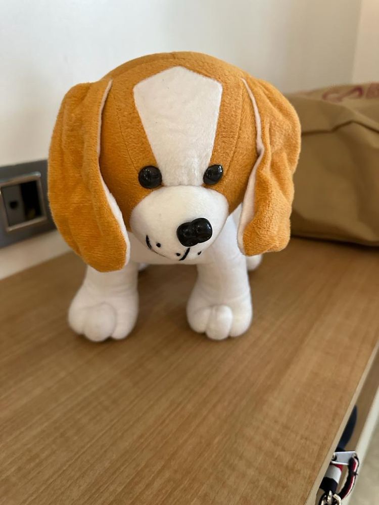 Dog Soft Toy New