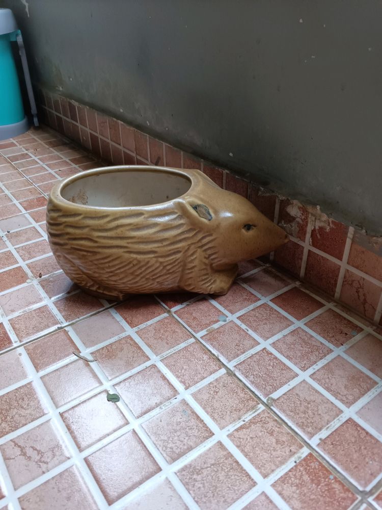 Ceramic Animal Shaped Planter