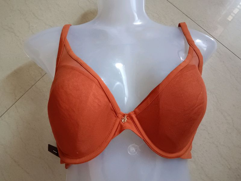 34D Bra