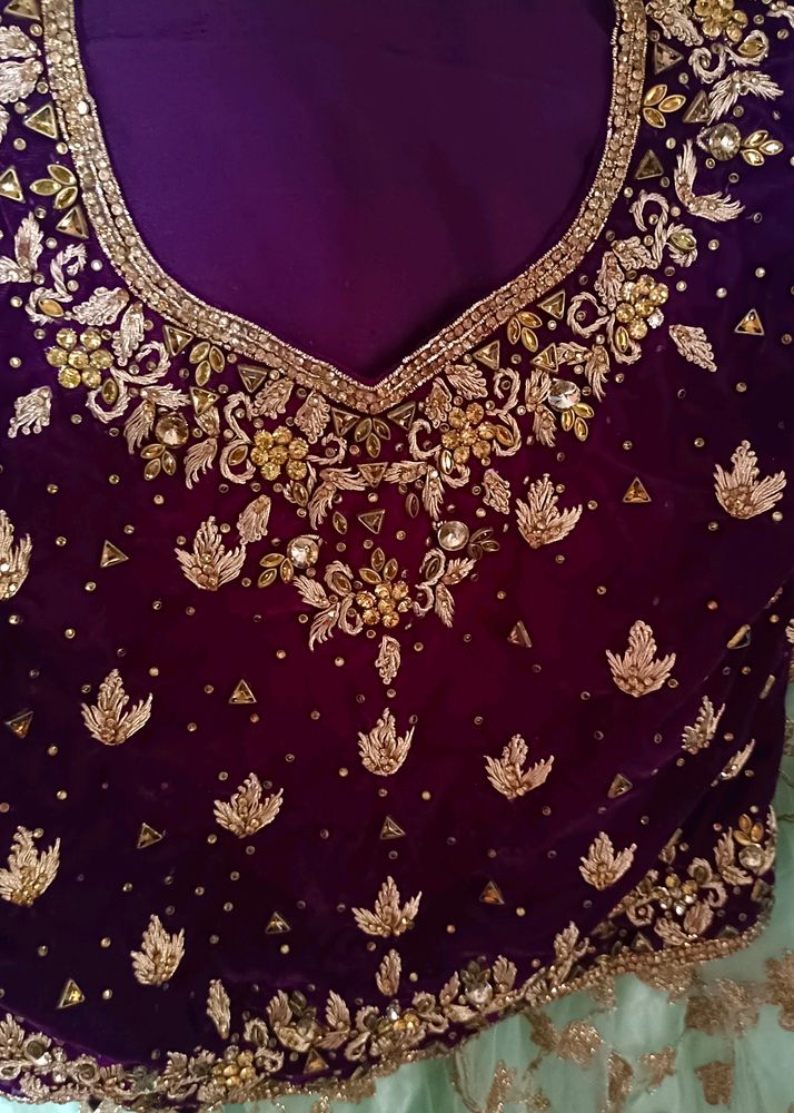 Beautiful Pastel Green Lehnga With Wine Blouse