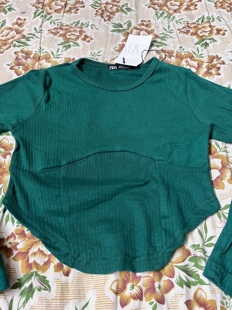 zara seagreen crop top