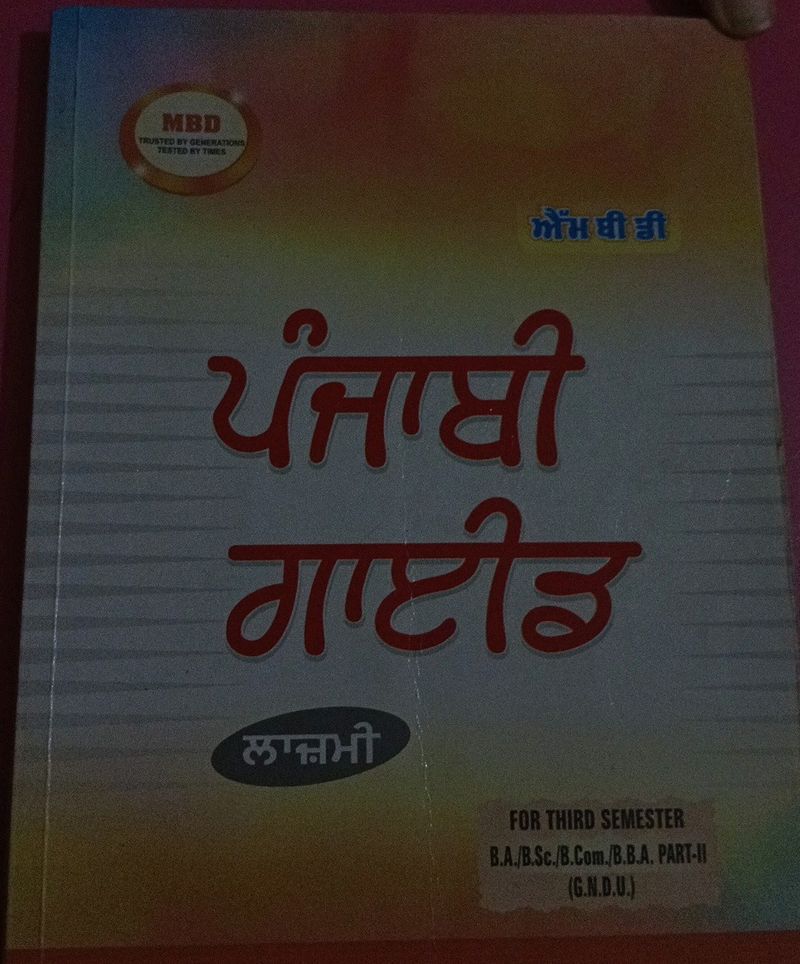 Punjabi Guide