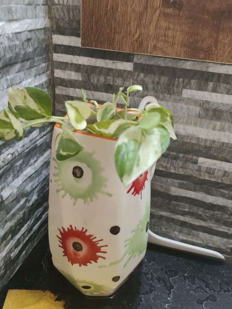 Decorative Plant Vase