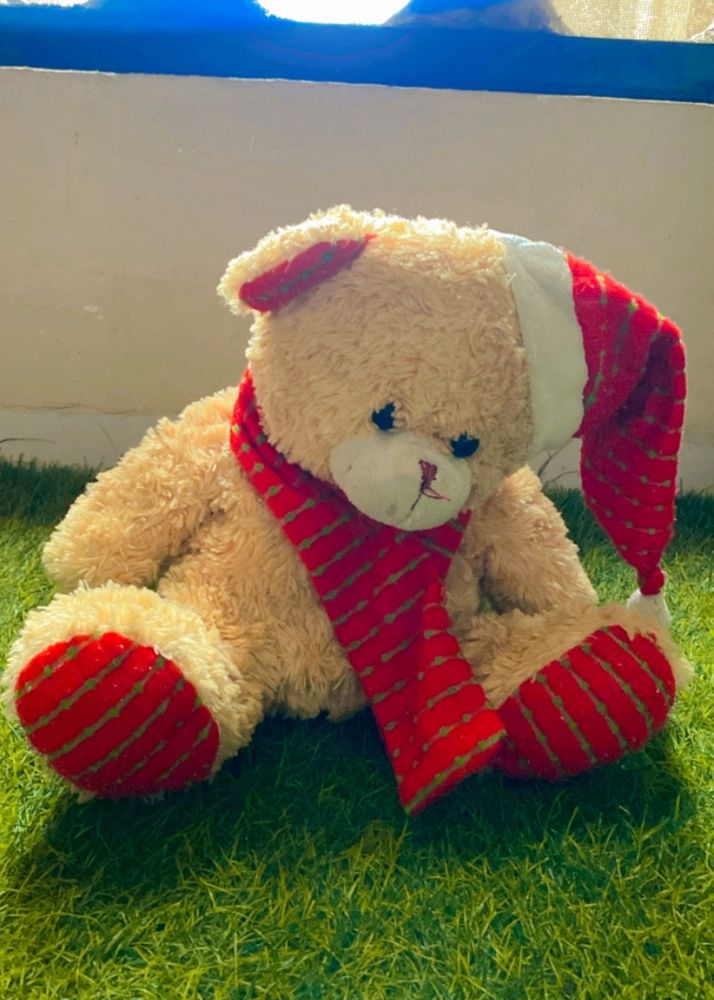 Taddy Bear Soft Toy