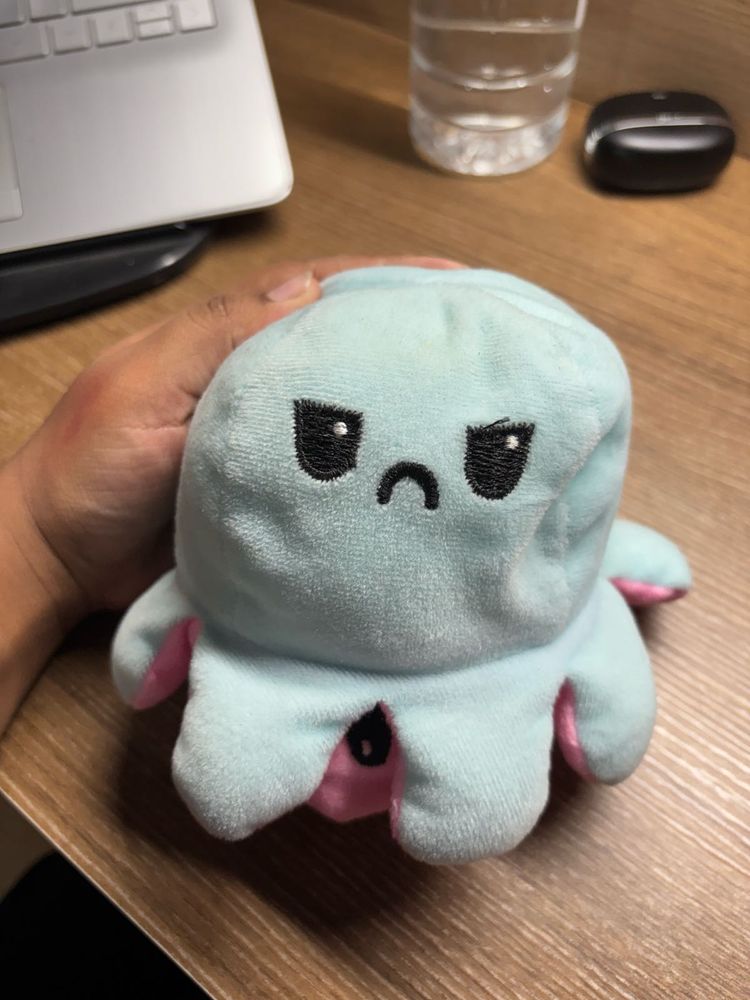 Octopus With Sad And Happy Side