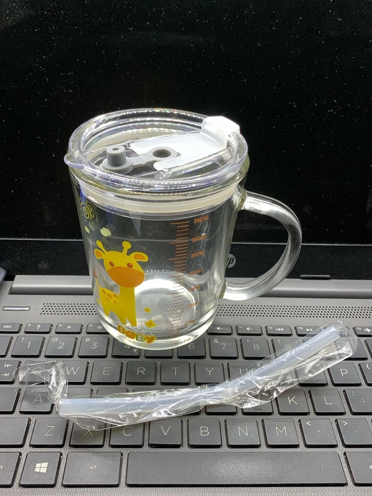 Glass Tumbler Mug With Reusable Silicon Straw And